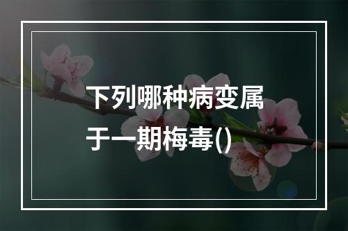 下列哪种病变属于一期梅毒()