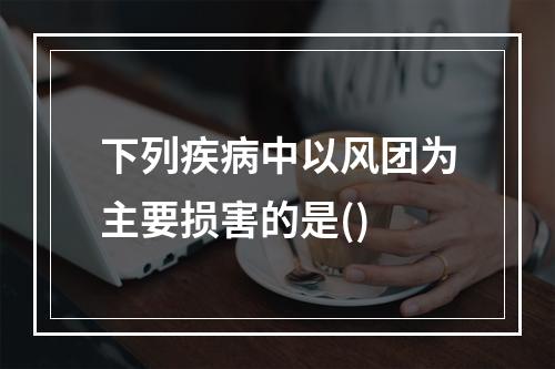 下列疾病中以风团为主要损害的是()