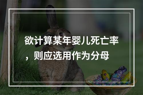 欲计算某年婴儿死亡率，则应选用作为分母