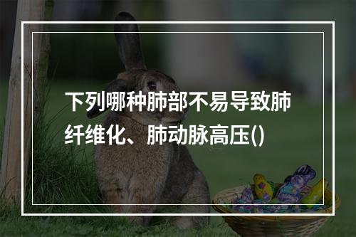 下列哪种肺部不易导致肺纤维化、肺动脉高压()