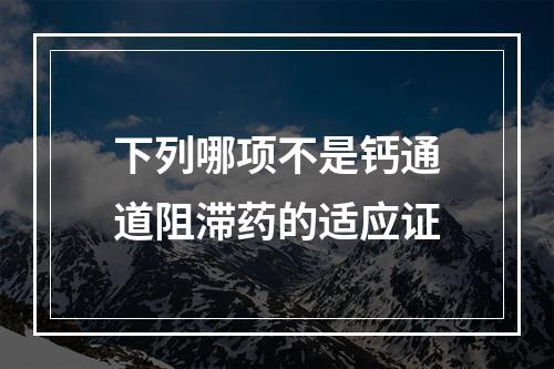 下列哪项不是钙通道阻滞药的适应证