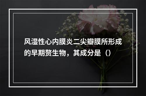 风湿性心内膜炎二尖瓣膜所形成的早期赘生物，其成分是（）