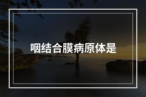 咽结合膜病原体是