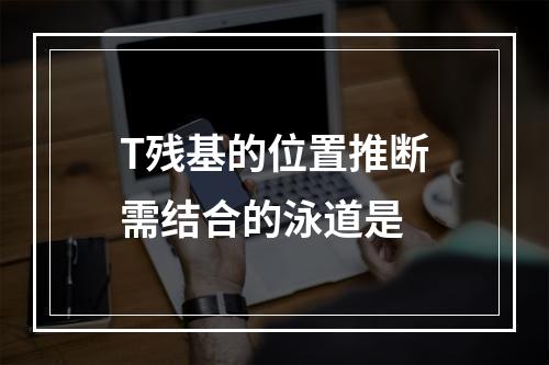 T残基的位置推断需结合的泳道是