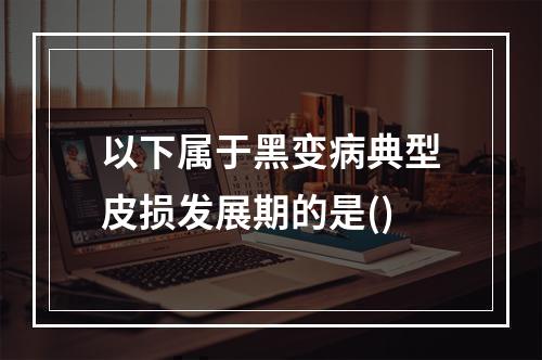 以下属于黑变病典型皮损发展期的是()