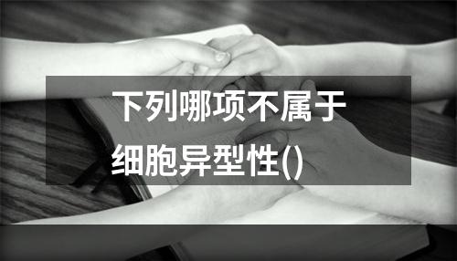 下列哪项不属于细胞异型性()