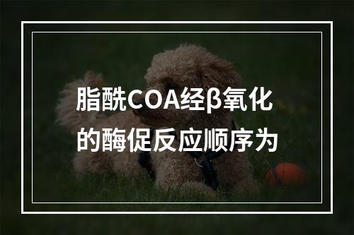 脂酰COA经β氧化的酶促反应顺序为