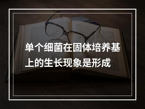 单个细菌在固体培养基上的生长现象是形成