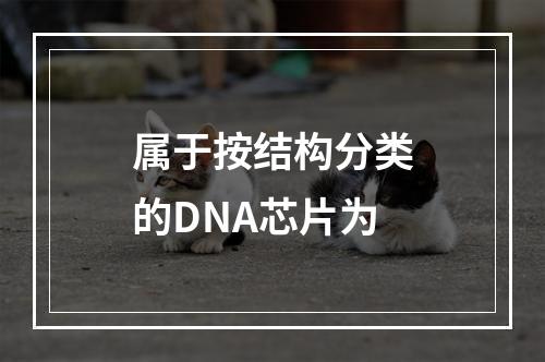 属于按结构分类的DNA芯片为