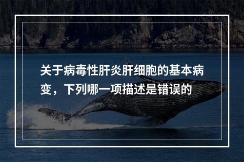 关于病毒性肝炎肝细胞的基本病变，下列哪一项描述是错误的