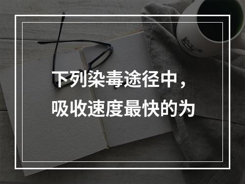 下列染毒途径中，吸收速度最快的为