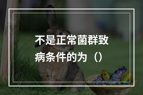 不是正常菌群致病条件的为（）