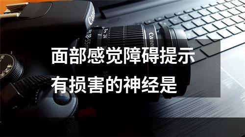 面部感觉障碍提示有损害的神经是