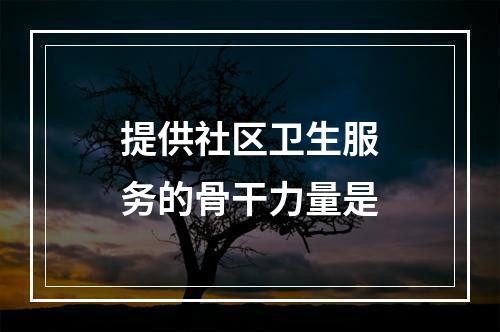 提供社区卫生服务的骨干力量是