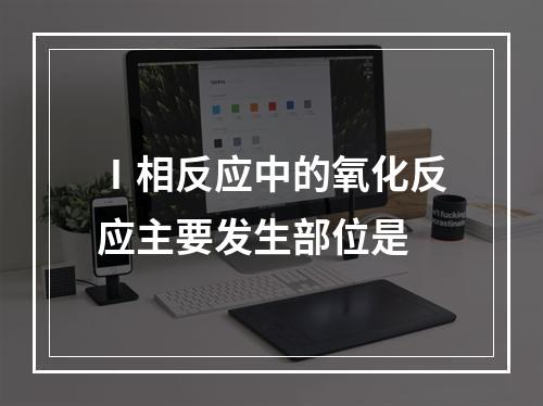 Ⅰ相反应中的氧化反应主要发生部位是