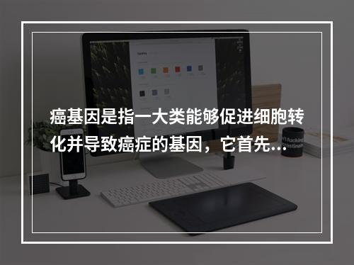 癌基因是指一大类能够促进细胞转化并导致癌症的基因，它首先被发