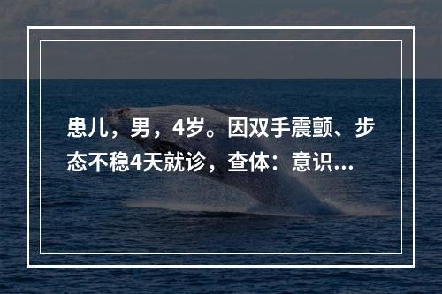 患儿，男，4岁。因双手震颤、步态不稳4天就诊，查体：意识清楚