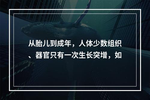 从胎儿到成年，人体少数组织、器官只有一次生长突增，如