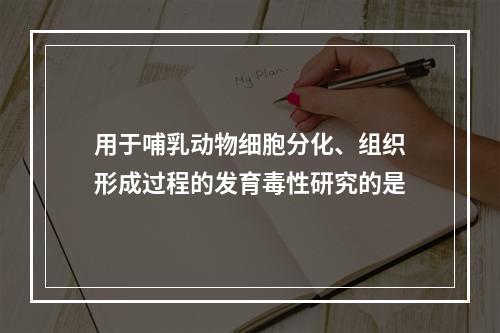 用于哺乳动物细胞分化、组织形成过程的发育毒性研究的是