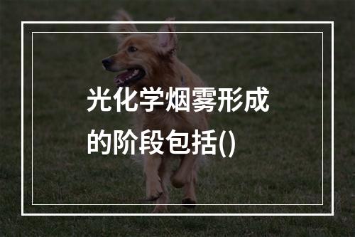 光化学烟雾形成的阶段包括()