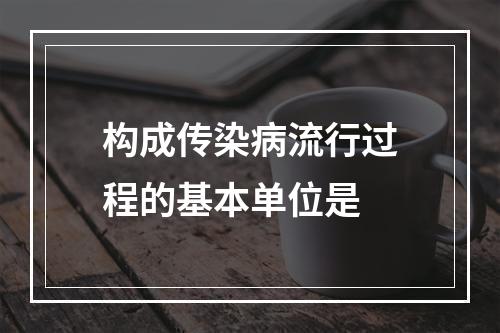 构成传染病流行过程的基本单位是