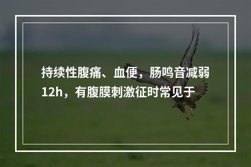 持续性腹痛、血便，肠鸣音减弱12h，有腹膜刺激征时常见于