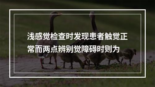 浅感觉检查时发现患者触觉正常而两点辨别觉障碍时则为