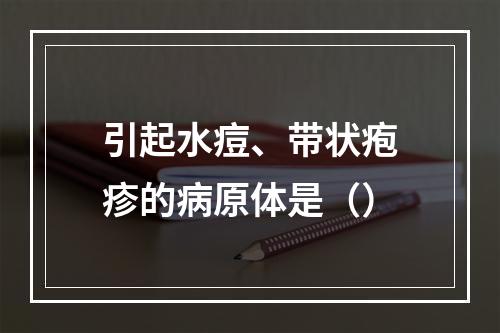 引起水痘、带状疱疹的病原体是（）