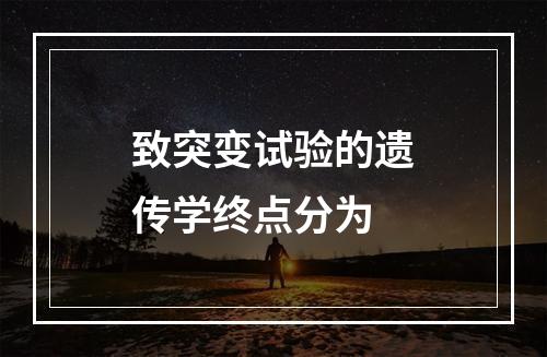 致突变试验的遗传学终点分为