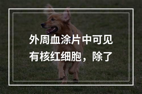 外周血涂片中可见有核红细胞，除了