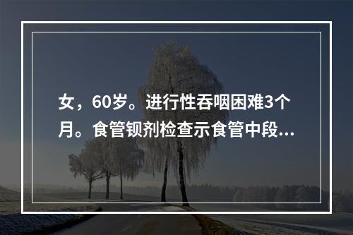 女，60岁。进行性吞咽困难3个月。食管钡剂检查示食管中段有4