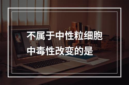 不属于中性粒细胞中毒性改变的是