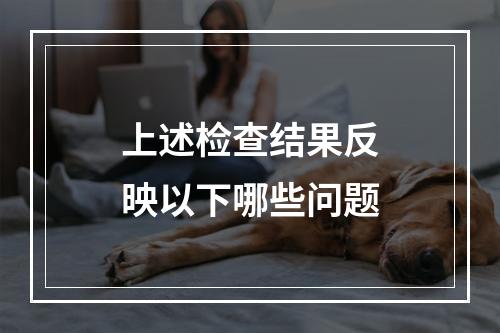 上述检查结果反映以下哪些问题