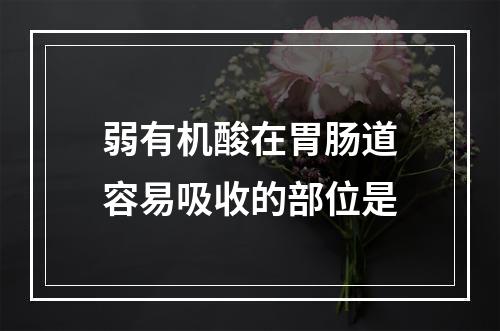 弱有机酸在胃肠道容易吸收的部位是