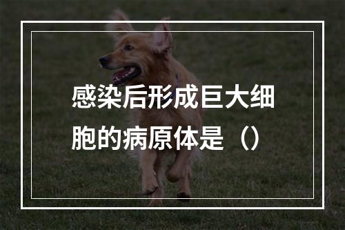 感染后形成巨大细胞的病原体是（）