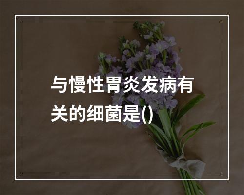 与慢性胃炎发病有关的细菌是()