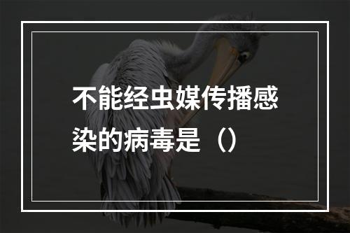 不能经虫媒传播感染的病毒是（）