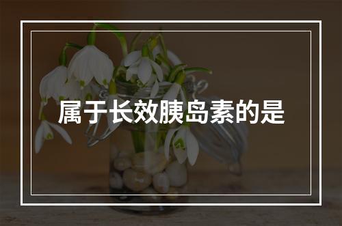 属于长效胰岛素的是