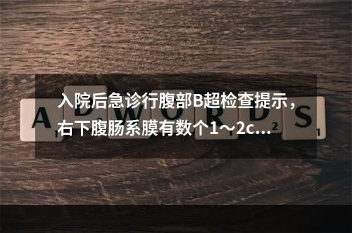 入院后急诊行腹部B超检查提示，右下腹肠系膜有数个1～2cm大