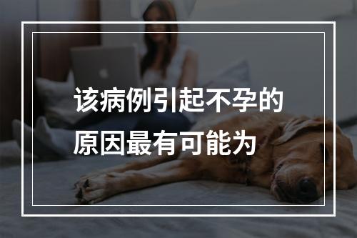 该病例引起不孕的原因最有可能为