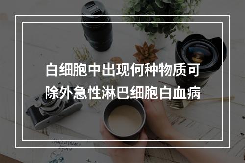 白细胞中出现何种物质可除外急性淋巴细胞白血病