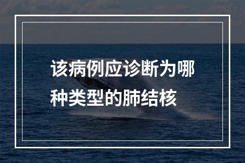 该病例应诊断为哪种类型的肺结核