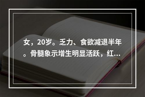 女，20岁。乏力、食欲减退半年。骨髓象示增生明显活跃，红细胞