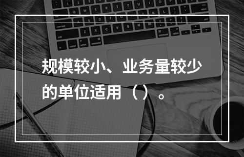 规模较小、业务量较少的单位适用（ ）。