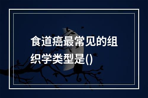 食道癌最常见的组织学类型是()