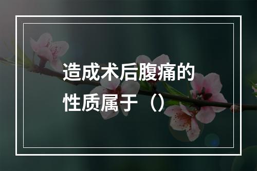 造成术后腹痛的性质属于（）