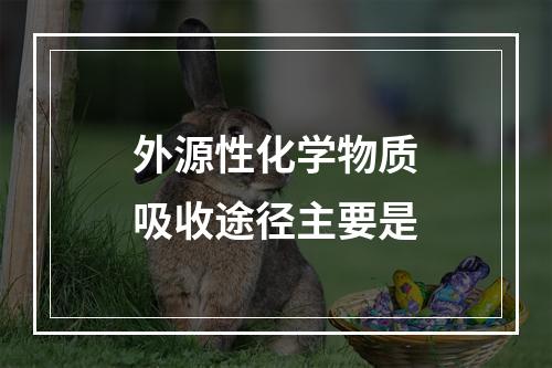 外源性化学物质吸收途径主要是