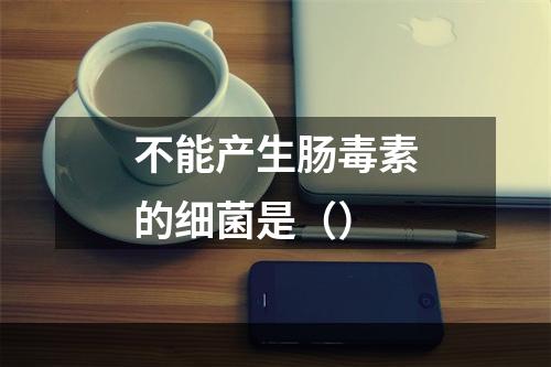 不能产生肠毒素的细菌是（）