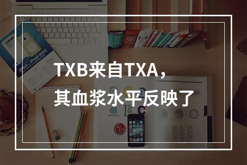 TXB来自TXA，其血浆水平反映了