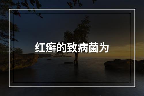 红癣的致病菌为